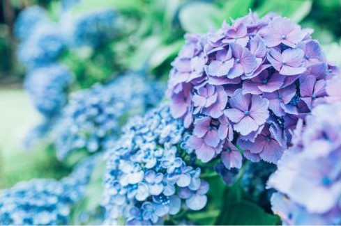 雨の日にこそ「心」をゆるめよう〜