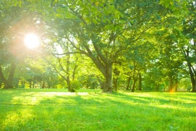 梅雨のだるさを吹き飛ばす！おすすめの”朝活”とは？