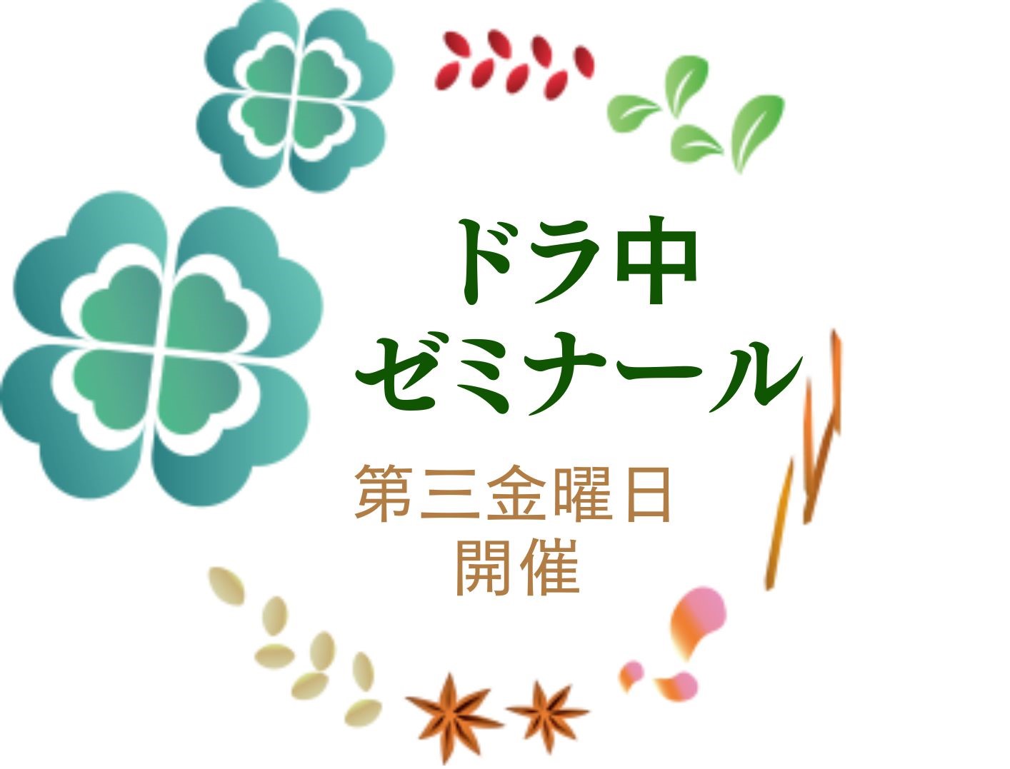 2025年6月20日ドラ中ゼミナール開催