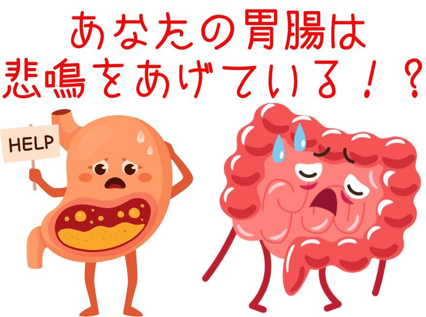 ぽっこりお腹・肥満・便秘にご用心