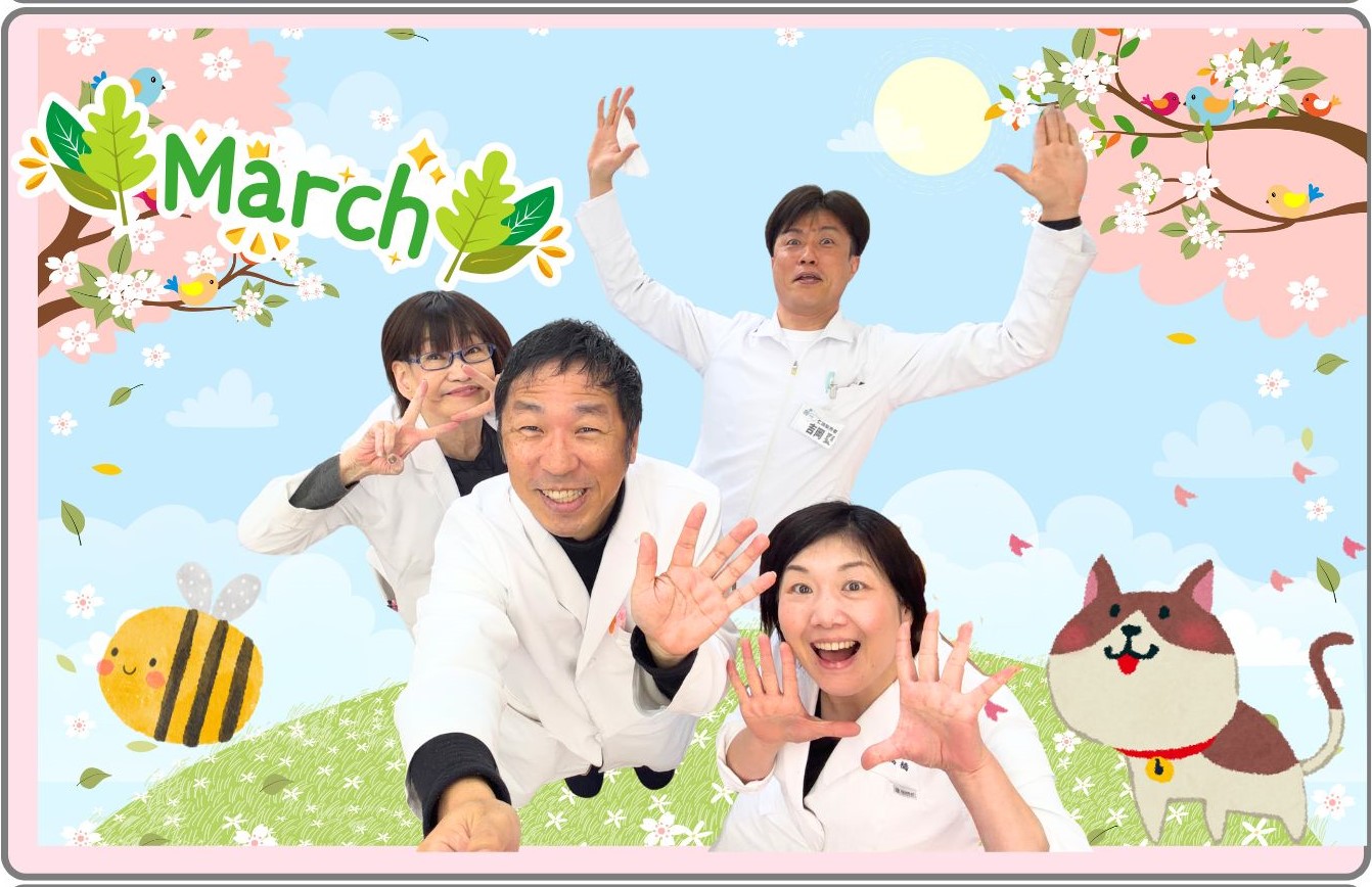 【お知らせ】2026年３月イベント